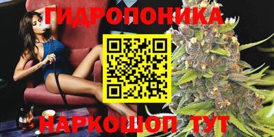 ешки Будённовск