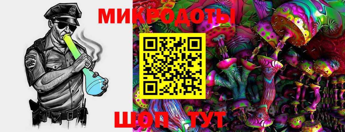 Псилоцибиновые грибы MAGIC MUSHROOMS  Галлюциногенные грибы мухоморы  Вход с VPN  Гусиноозёрск 