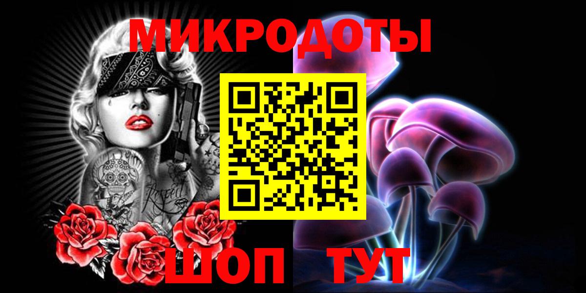 Галлюциногенные грибы Psilocybe Гусиноозёрск