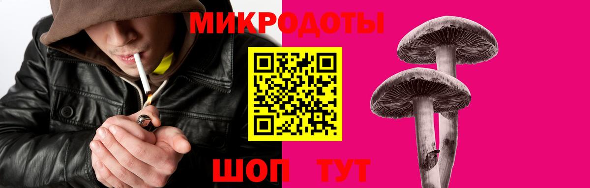 Псилоцибиновые грибы Psilocybine cubensis  Гусиноозёрск 